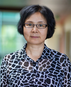 Xuemei Xie, PhD