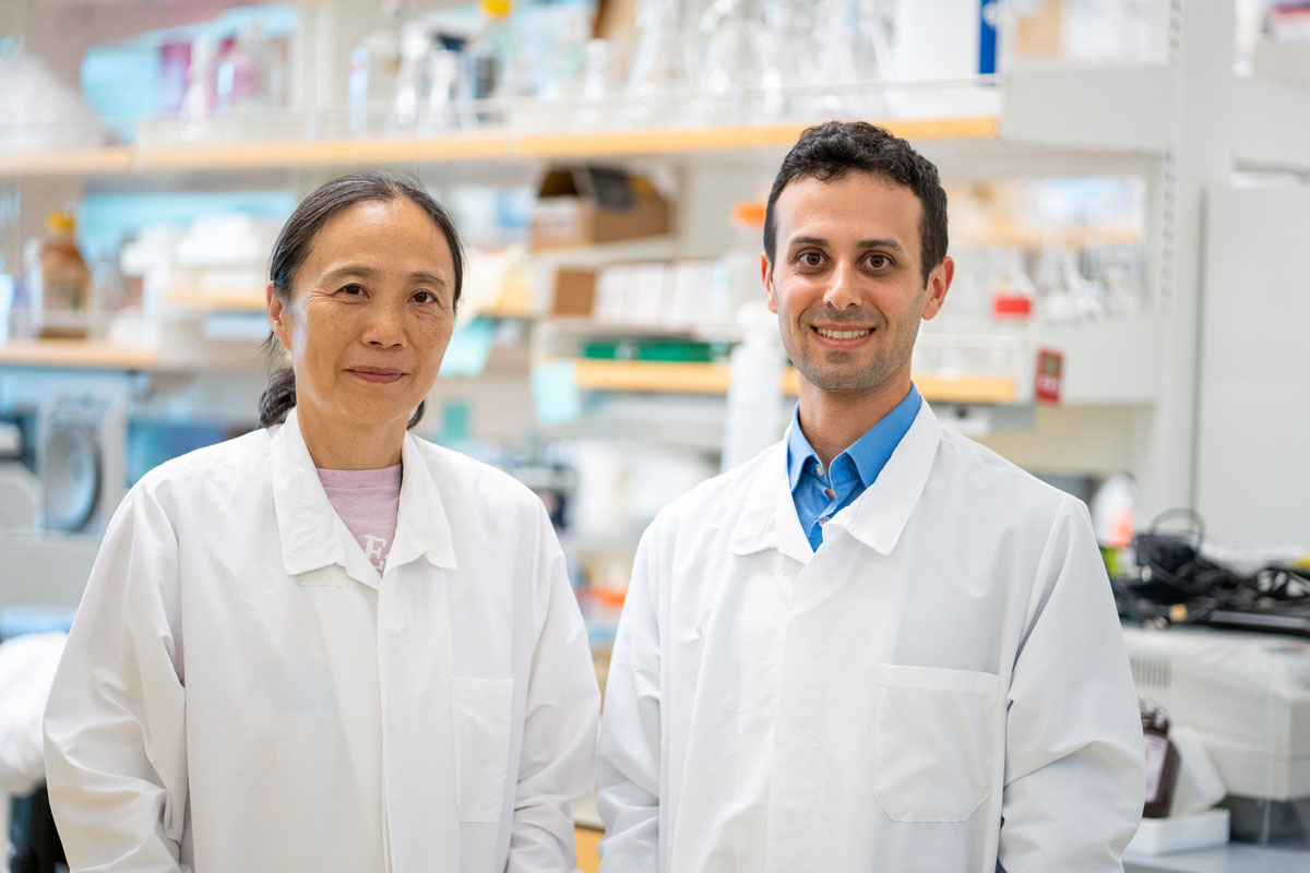 Xin Chen and Benjamin Green