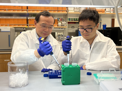 Lang Wu, right, working Youping Deng in the lab.